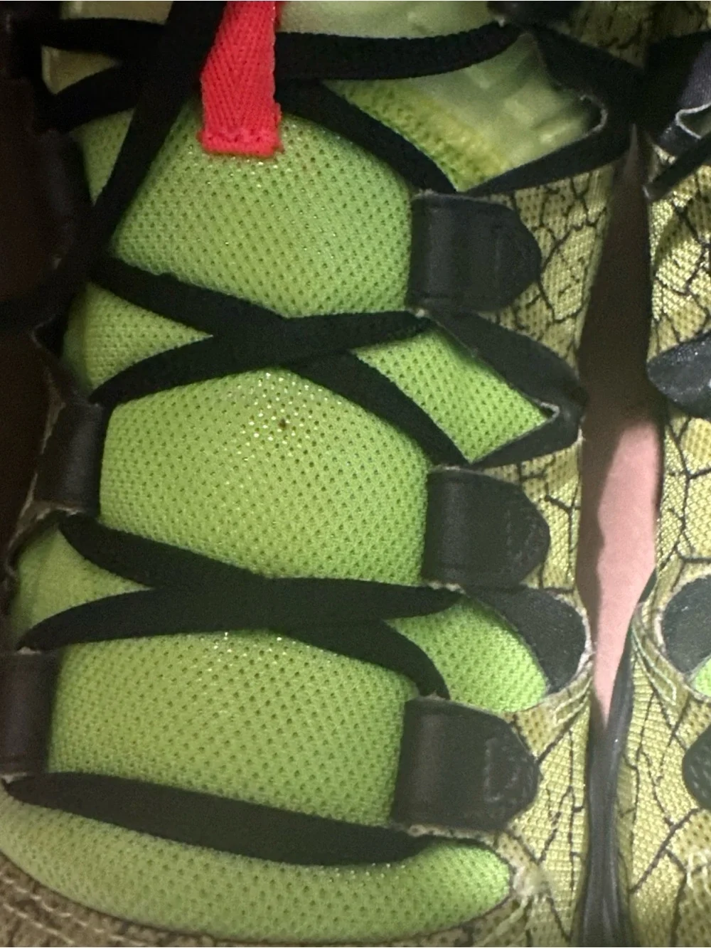 Jordan vibrant neon